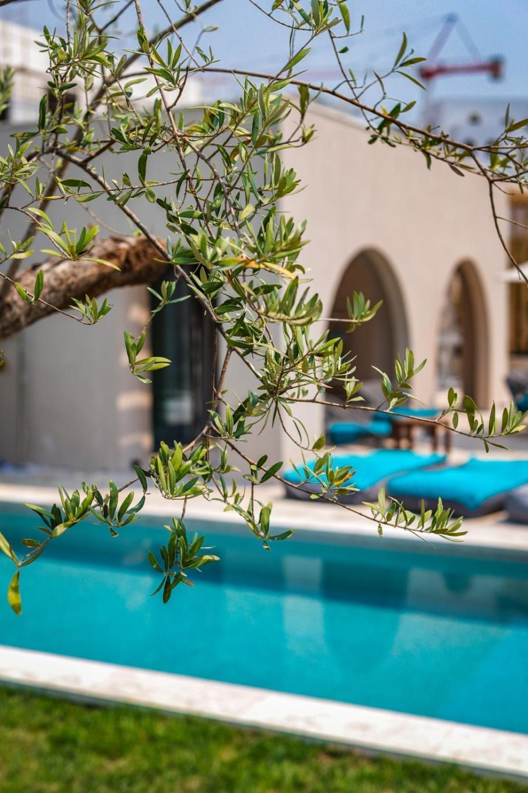 Drymades Inn Resort Дхерми Экстерьер фото